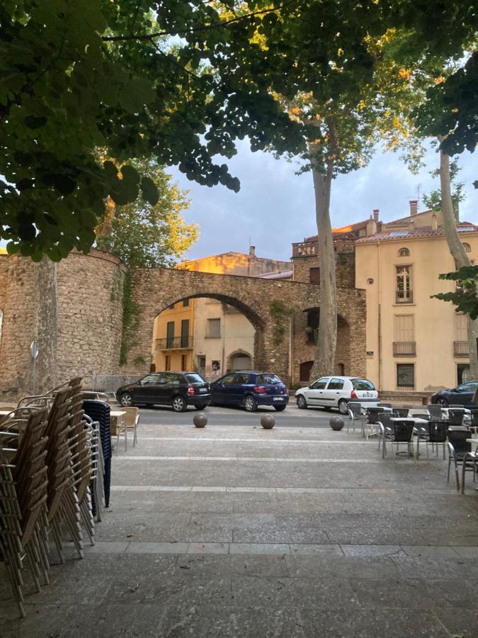 Poppys Chambres D'Hotes Céret Exterior foto